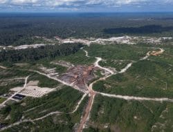 DAS Kapuas di Ambang Krisis: Deforestasi HTI Diduga Langgar Zona Konservasi, Target FOLU Dipertanyakan