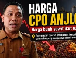 Harga CPO Anjlok, Pemerintah Kalteng Pantau Dampak ke Masyarakat