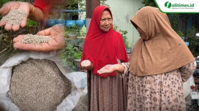 Modus Beras Murah Berisi Pasir Tipu Warga Sampit