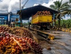 Mentan Minta PKS Penahan Harga TBS Masuk Radar Polisi