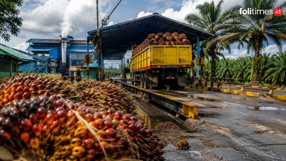 Ilustrasi aktivitas pabrik kelapa sawit saat menerima tandan buah segar atau TBS dari kebun.