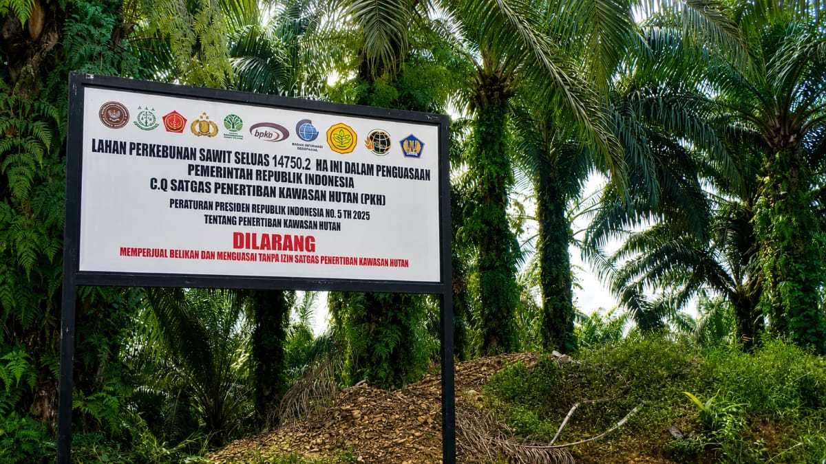 Konflik plasma 20 persen eks PT BJAP kembali menjadi sorotan setelah warga mempertanyakan kejelasan status lahan, batas penguasaan negara, dan nasib kebun masyarakat.