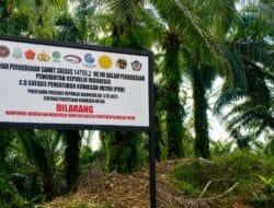 Warga Seruyan Terjepit Konflik Plasma dan Sitaan Negara