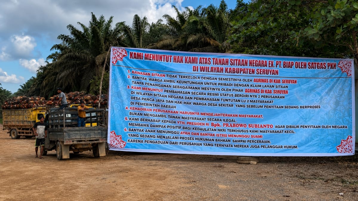 Spanduk tuntutan warga membentang di kawasan perkebunan sawit Seruyan Tengah, menyoroti sengkarut lahan eks PT BJAP, hak plasma, dan pengelolaan area sitaan negara.