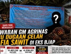 Jawaban GM Agrinas Picu Dugaan Celah Mafia Sawit di Eks BJAP