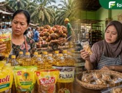 Kenapa? Minyak Goreng Mahal di Tanah Sawit
