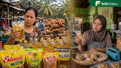 Kenapa? Minyak Goreng Mahal di Tanah Sawit