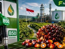 B50 Berlaku, Sawit Daerah Dipertaruhkan