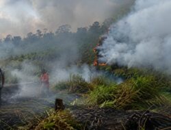 Karhutla Kembali Melanda Palangka Raya
