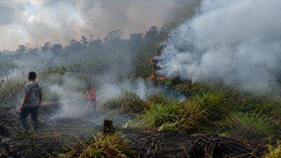 Karhutla Kembali Melanda Palangka Raya