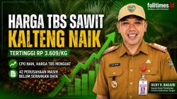 Harga Sawit Kalteng Naik, 42 Perusahaan Masih Absen Lapor TBS