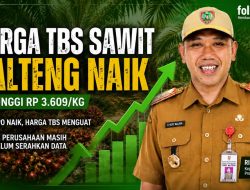Harga Sawit Kalteng Naik, 42 Perusahaan Masih Absen Lapor TBS