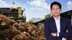 Surplus Agrinas Triliunan Laba Miliar Begini Menurut Pandangan Ekonom Muda
