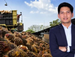 Surplus Agrinas Triliunan Laba Miliar Begini Menurut Pandangan Ekonom Muda