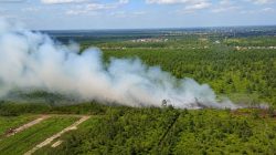 Asap putih menyelimuti kawasan lahan gambut yang terbakar di Kotawaringin Timur, Kalimantan Tengah